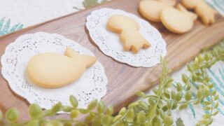 アイシング基礎STEP4「つるすべクッキー生地」手とり足とりレッスン